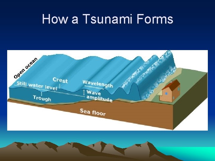 How a Tsunami Forms 