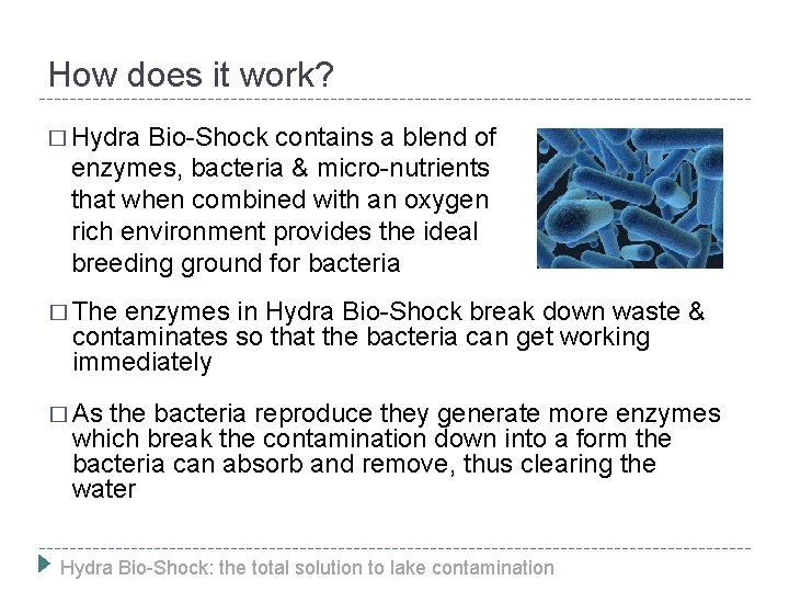 How does it work? � Hydra Bio-Shock contains a blend of enzymes, bacteria &