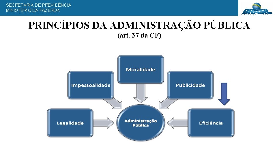 SECRETARIA DE PREVIDÊNCIA MINISTÉRIO DA FAZENDA PRINCÍPIOS DA ADMINISTRAÇÃO PÚBLICA (art. 37 da CF)