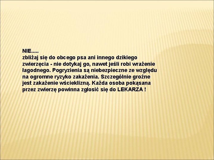 NIE. . . zbliżaj się do obcego psa ani innego dzikiego zwierzęcia - nie NIE. . . zbliżaj się do obcego psa ani innego dzikiego zwierzęcia - nie