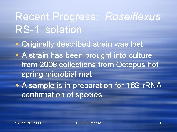 Recent Progress: Roseiflexus RS-1 isolation w Originally described strain was lost w A strain