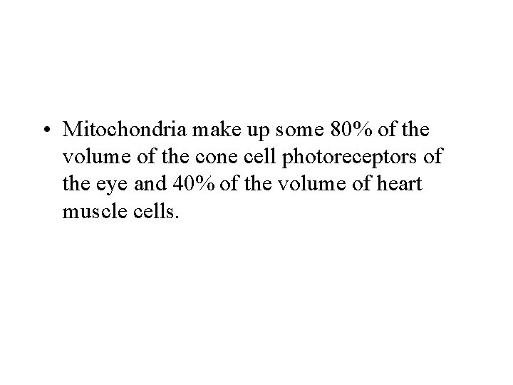  • Mitochondria make up some 80% of the volume of the cone cell