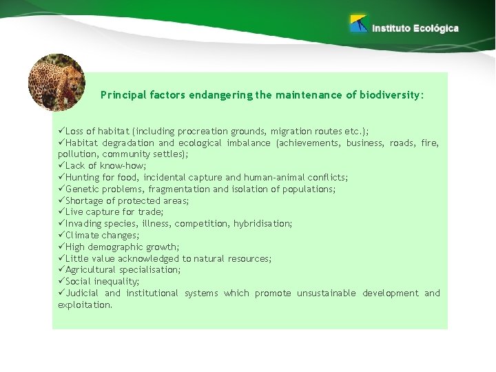 Principal factors endangering the maintenance of biodiversity: üLoss of habitat (including procreation grounds, migration