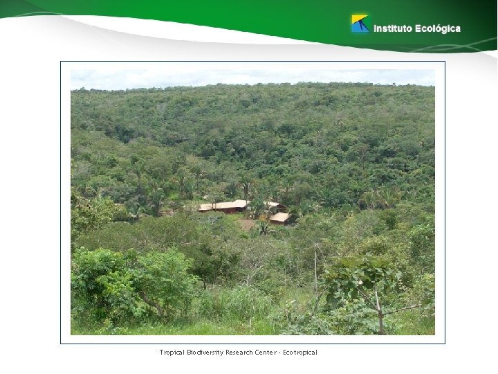 Tropical Biodiversity Research Center - Ecotropical 