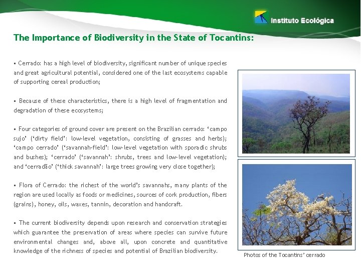 The Importance of Biodiversity in the State of Tocantins: • Cerrado: has a high