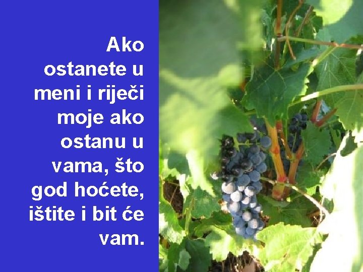 Ako ostanete u meni i riječi moje ako ostanu u vama, što god hoćete, Ako ostanete u meni i riječi moje ako ostanu u vama, što god hoćete,