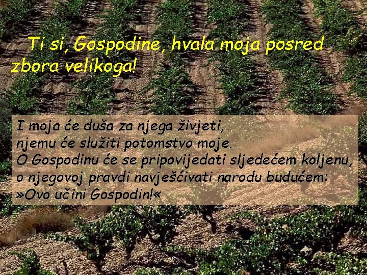 Ti si, Gospodine, hvala moja posred zbora velikoga! I moja će duša za njega Ti si, Gospodine, hvala moja posred zbora velikoga! I moja će duša za njega