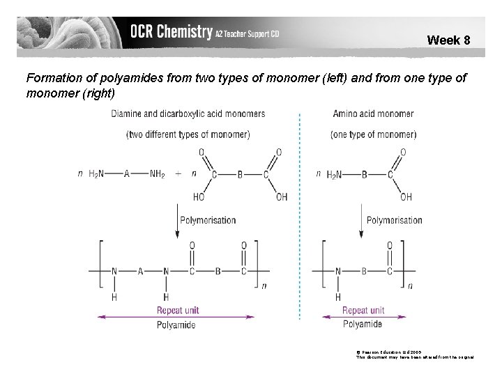 Week 8 Formation of polyamides from two types of monomer (left) and from one
