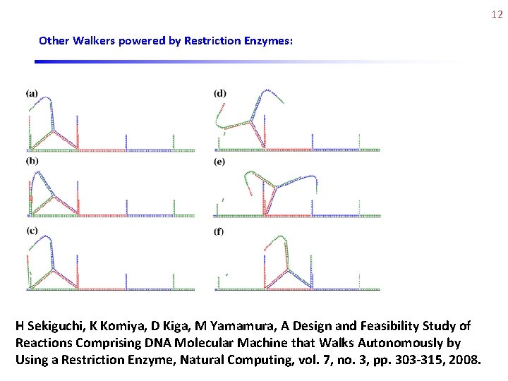 12 Other Walkers powered by Restriction Enzymes: H Sekiguchi, K Komiya, D Kiga, M