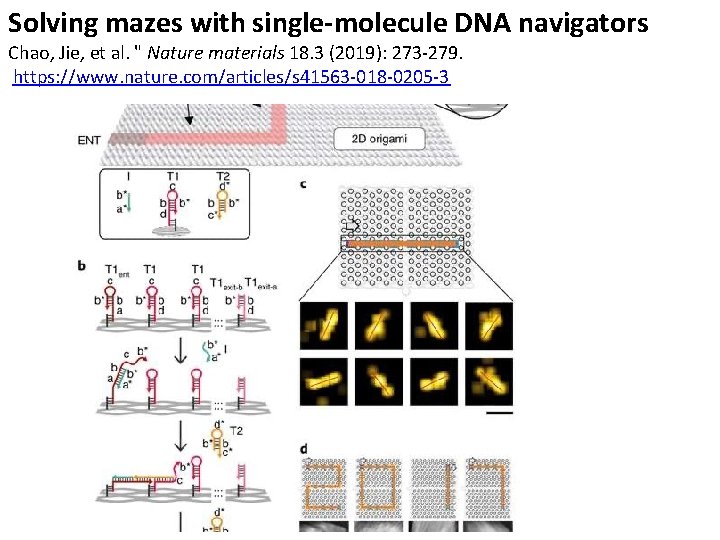 Solving mazes with single molecule DNA navigators Cargo-sorting DNA robots Chao, Jie, et al.