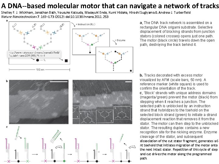 A DNA based molecular motor that can navigate a network of tracks Cargo-sorting DNA