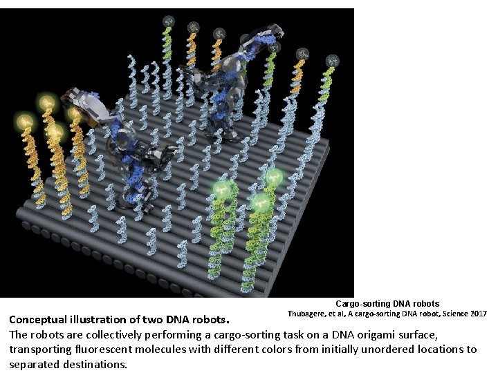 Cargo-sorting DNA robots Thubagere, et al, A cargo sorting DNA robot, Science 2017 Conceptual