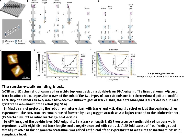 Cargo-sorting DNA robots Thubagere, et al, A cargo sorting DNA robot, Science 201 The