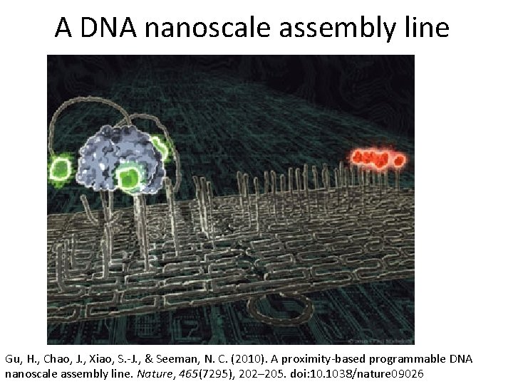 A DNA nanoscale assembly line Gu, H. , Chao, J. , Xiao, S. -J.