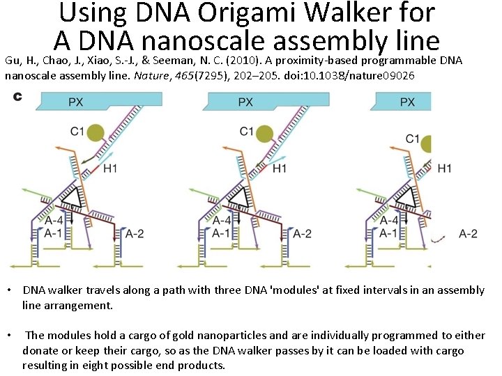 Using DNA Origami Walker for A DNA nanoscale assembly line Gu, H. , Chao,