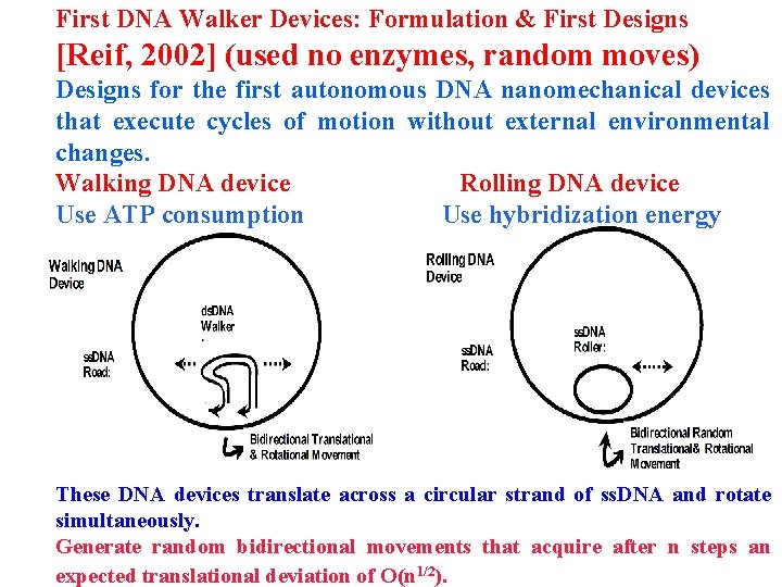First DNA Walker Devices: Formulation & First Designs [Reif, 2002] (used no enzymes, random
