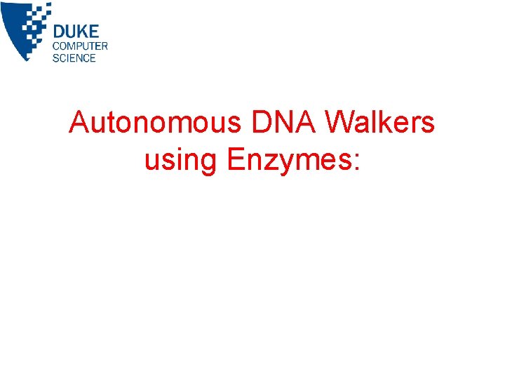 Autonomous DNA Walkers using Enzymes: 