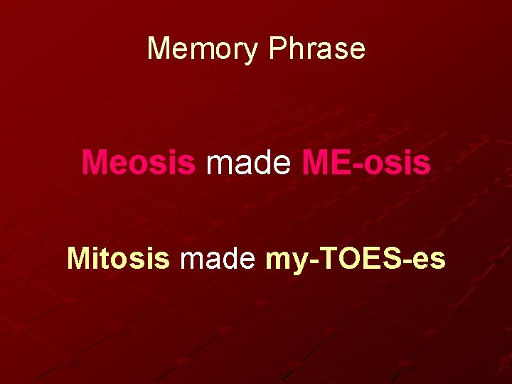 Memory Phrase Meosis made ME-osis Mitosis made my-TOES-es 