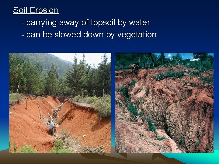 Soil Erosion - carrying away of topsoil by water - can be slowed down