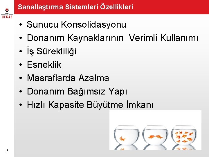 Sanallaştırma Sistemleri Özellikleri • • 5 Sunucu Konsolidasyonu Donanım Kaynaklarının Verimli Kullanımı İş Sürekliliği