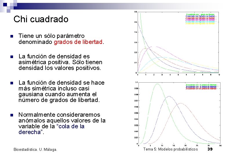 Chi cuadrado n Tiene un sólo parámetro denominado grados de libertad. n La función