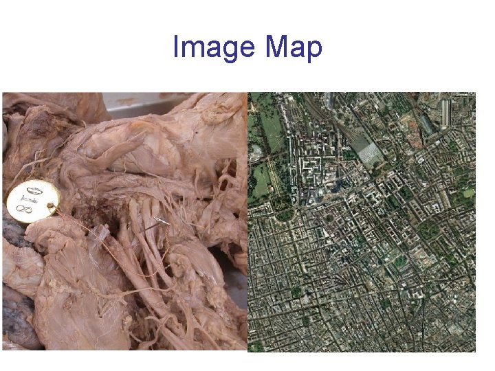 Image Map 