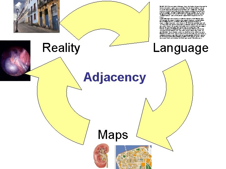 FIGURE 13 -6. The dose volume histogram shows what volume (in cc or in