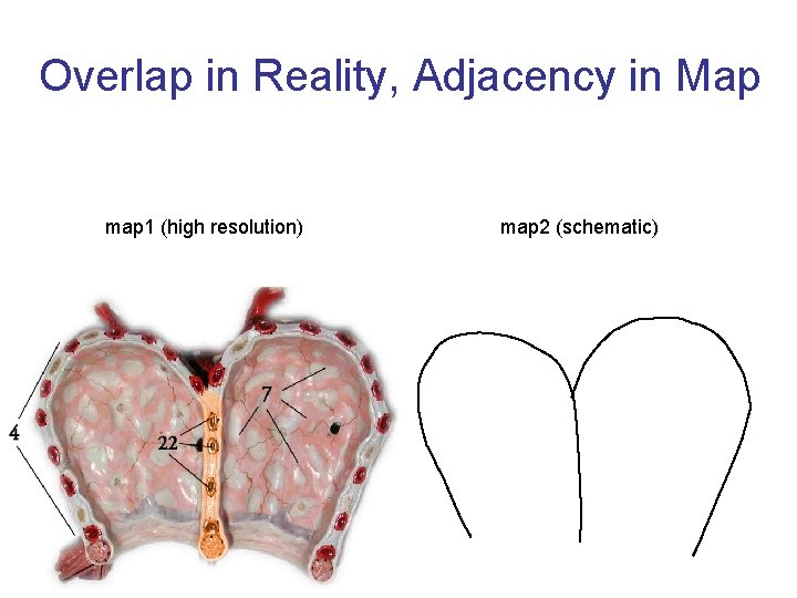 Overlap in Reality, Adjacency in Map map 1 (high resolution) map 2 (schematic) 