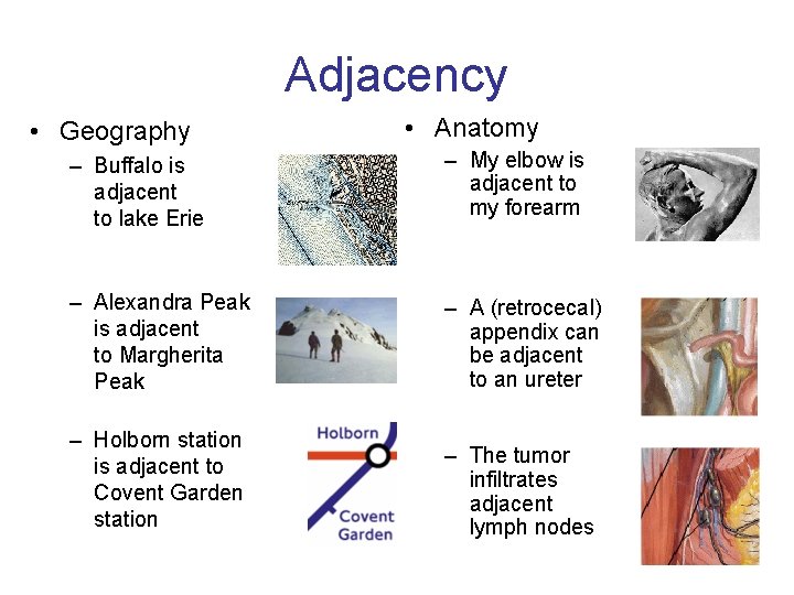 Adjacency • Geography • Anatomy – Buffalo is adjacent to lake Erie – My