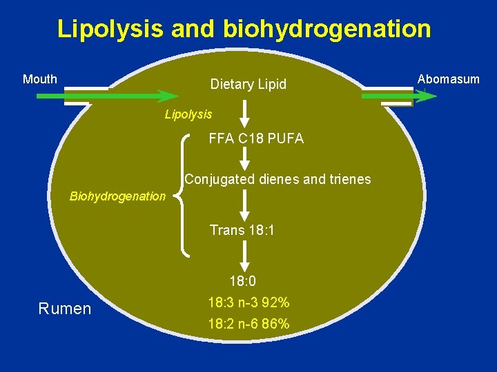 Lipolysis and biohydrogenation Mouth Dietary Lipid Lipolysis FFA C 18 PUFA Conjugated dienes and