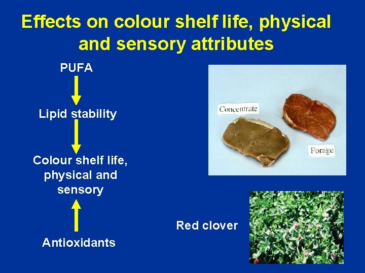 Effects on colour shelf life, physical and sensory attributes PUFA Lipid stability Colour shelf