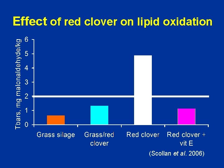 Effect of red clover on lipid oxidation (Scollan et al. 2006) 