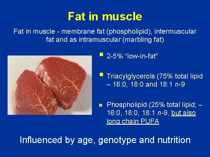 Fat in muscle - membrane fat (phospholipid), intermuscular fat and as intramuscular (marbling fat)