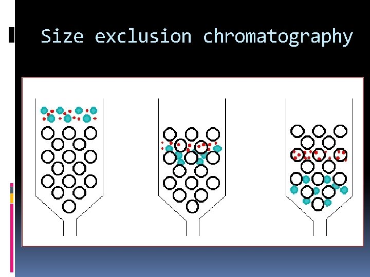 Size exclusion chromatography 