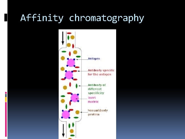 Affinity chromatography 