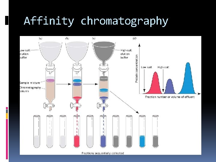 Affinity chromatography 