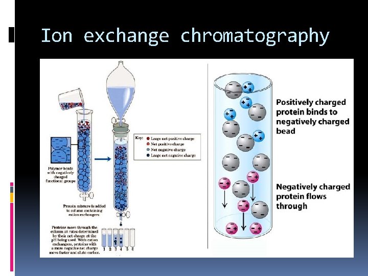 Ion exchange chromatography 