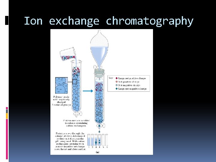 Ion exchange chromatography 