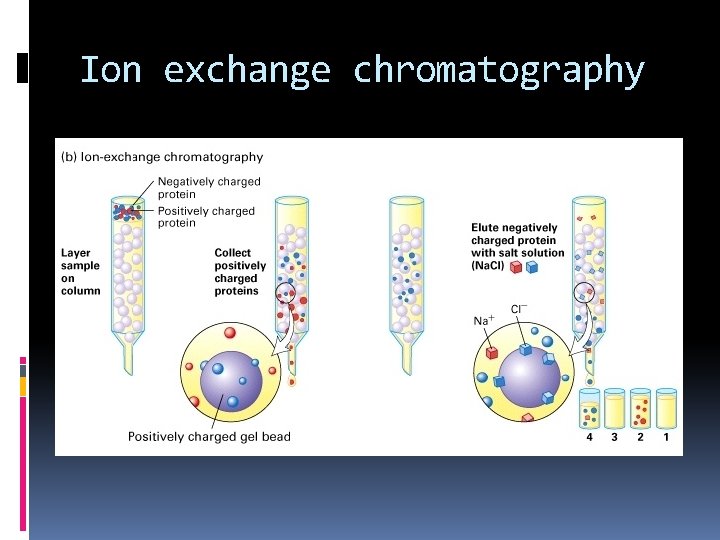 Ion exchange chromatography 