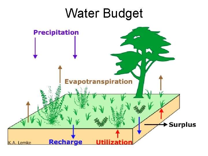Water Budget 