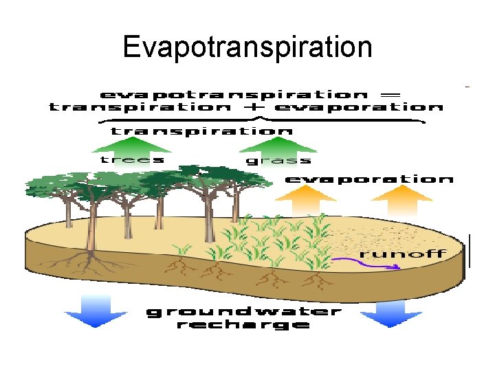 Evapotranspiration 