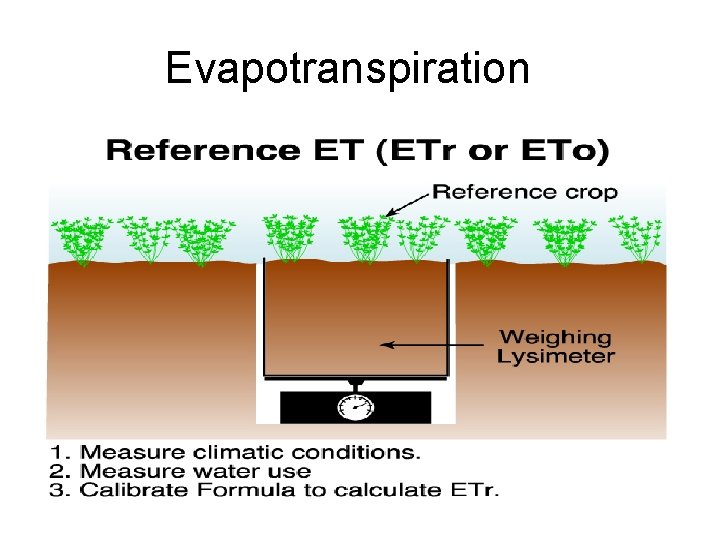 Evapotranspiration 