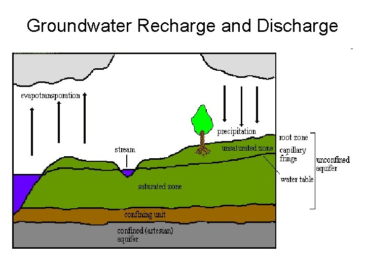 Groundwater Recharge and Discharge 