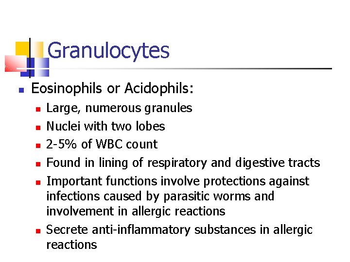 Granulocytes Eosinophils or Acidophils: Large, numerous granules Nuclei with two lobes 2 -5% of