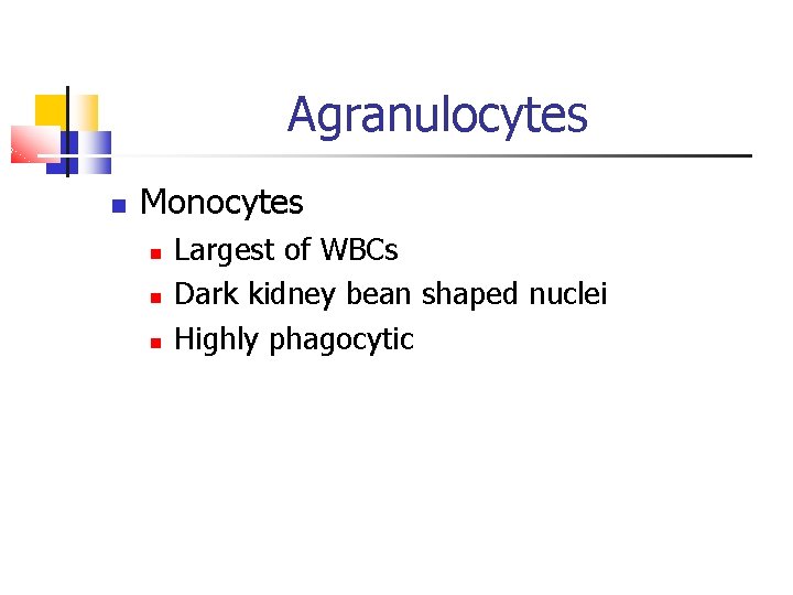 Agranulocytes Monocytes Largest of WBCs Dark kidney bean shaped nuclei Highly phagocytic 