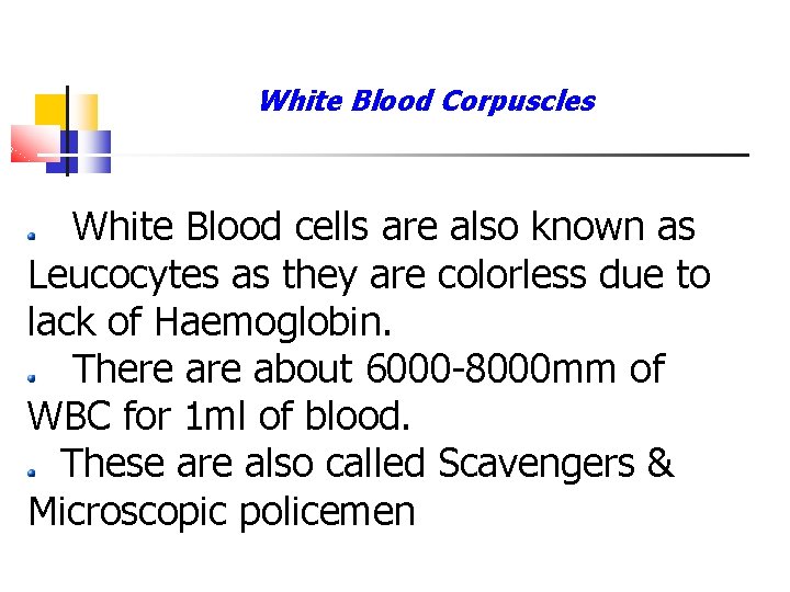 White Blood Corpuscles White Blood cells are also known as Leucocytes as they are