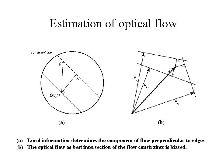 Estimation of optical flow (a) (b) (a) Local information determines the component of flow
