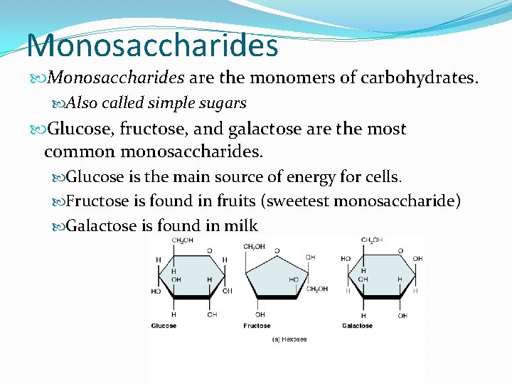 Monosaccharides are the monomers of carbohydrates. Also called simple sugars Glucose, fructose, and galactose