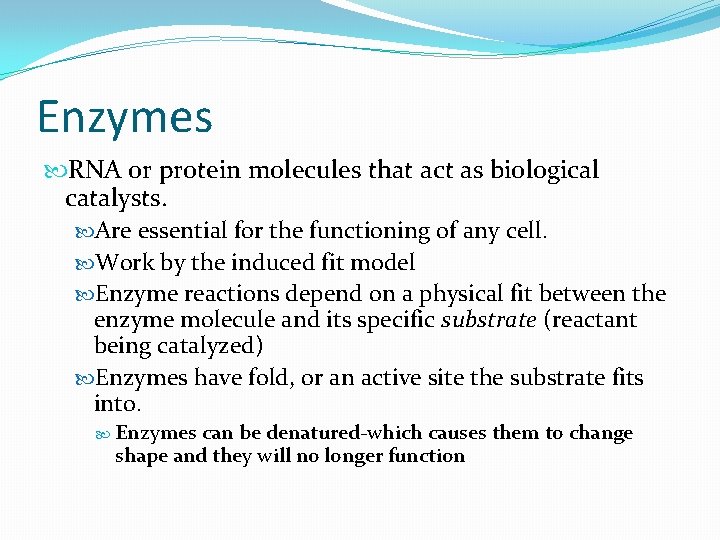 Enzymes RNA or protein molecules that act as biological catalysts. Are essential for the