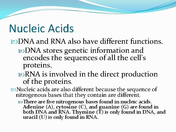 Nucleic Acids DNA and RNA also have different functions. DNA stores genetic information and